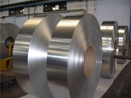 Stainless Steel Strip